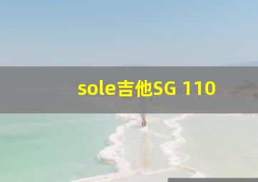 sole吉他SG 110